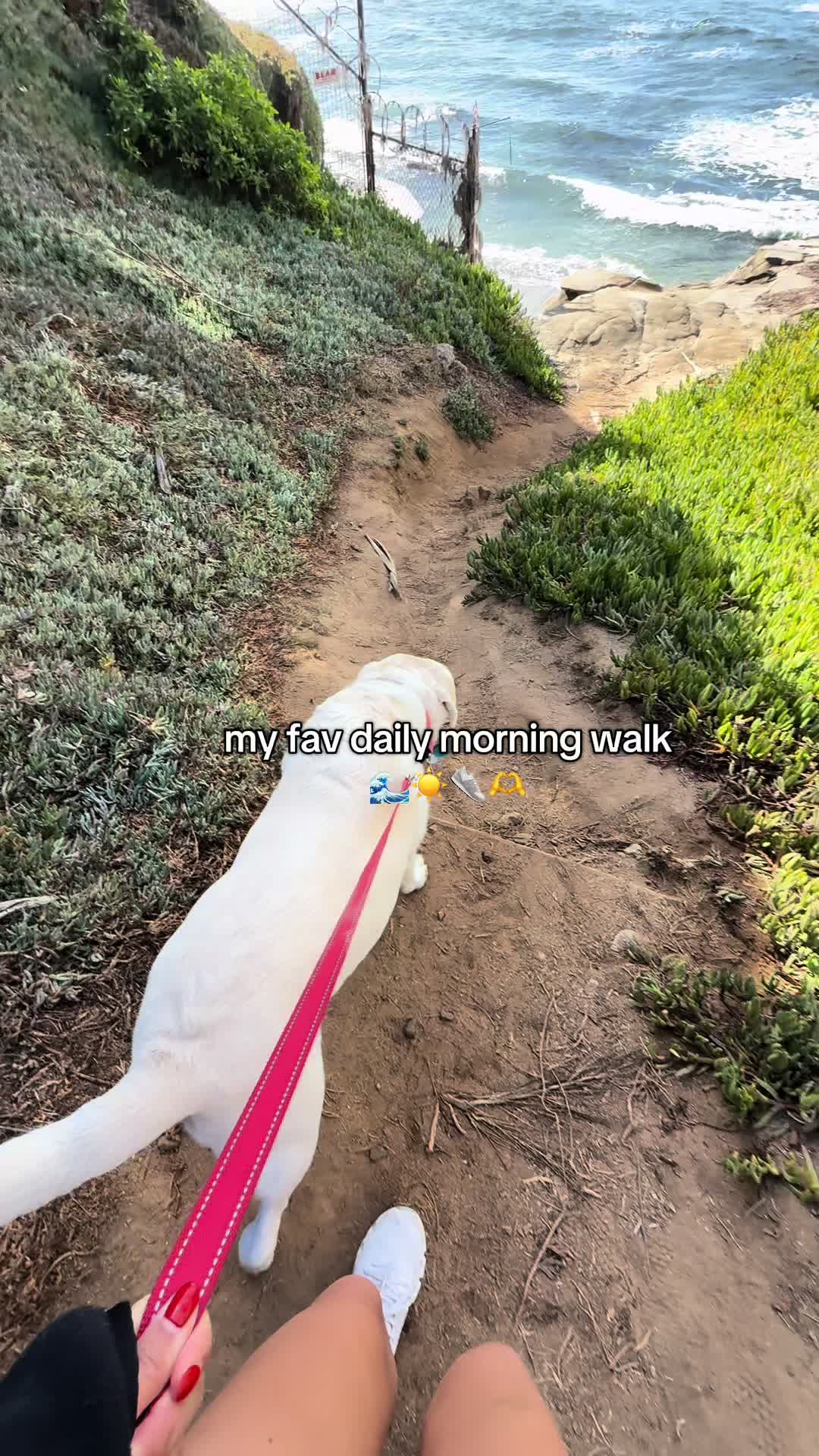 @p