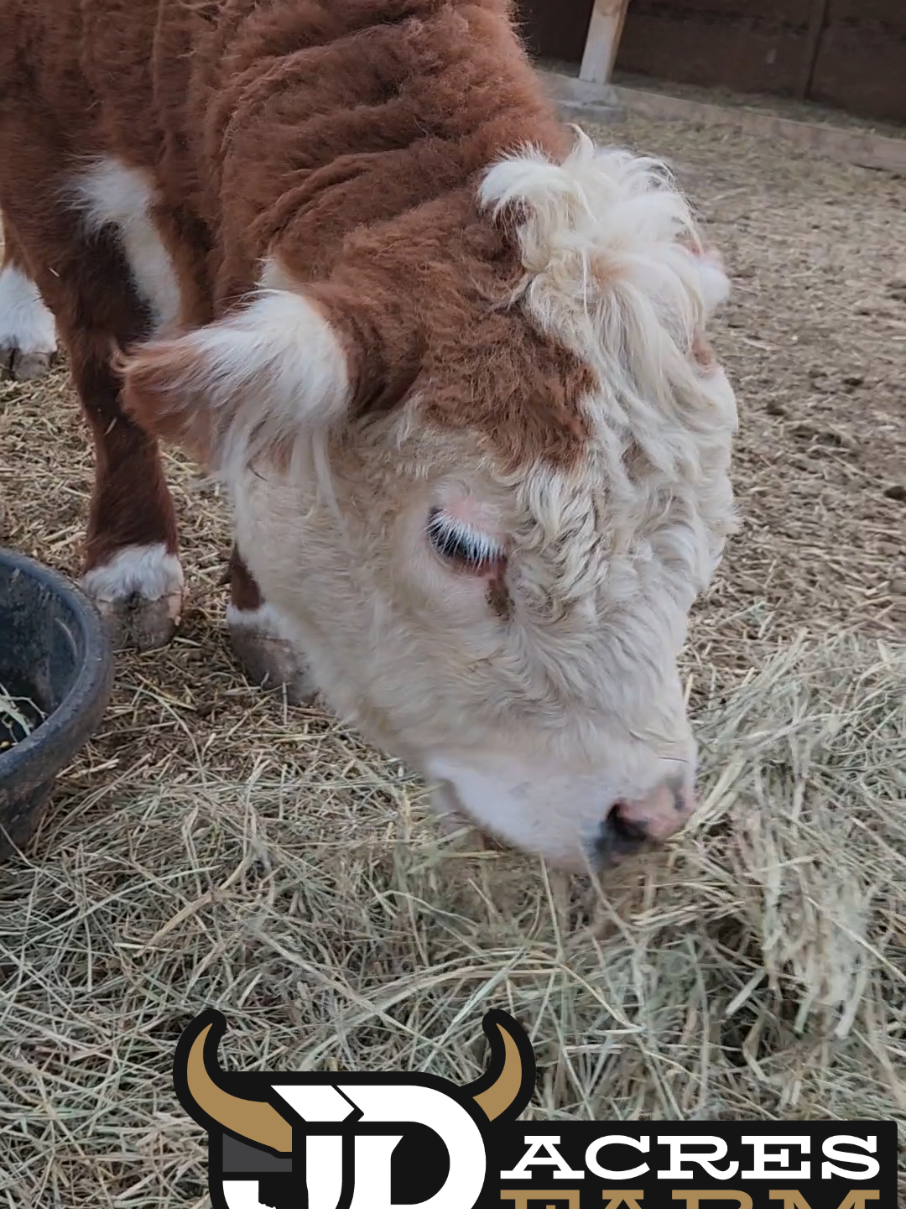 @JD Acres Farm