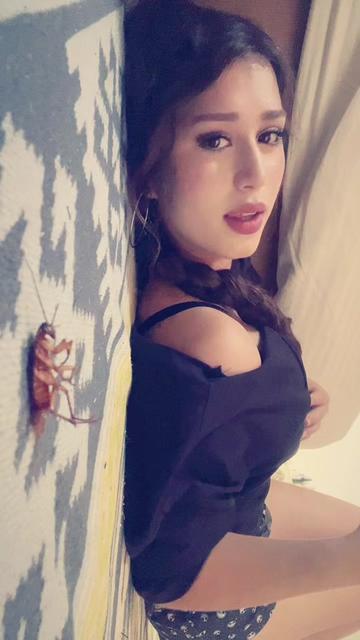 @handanbzby