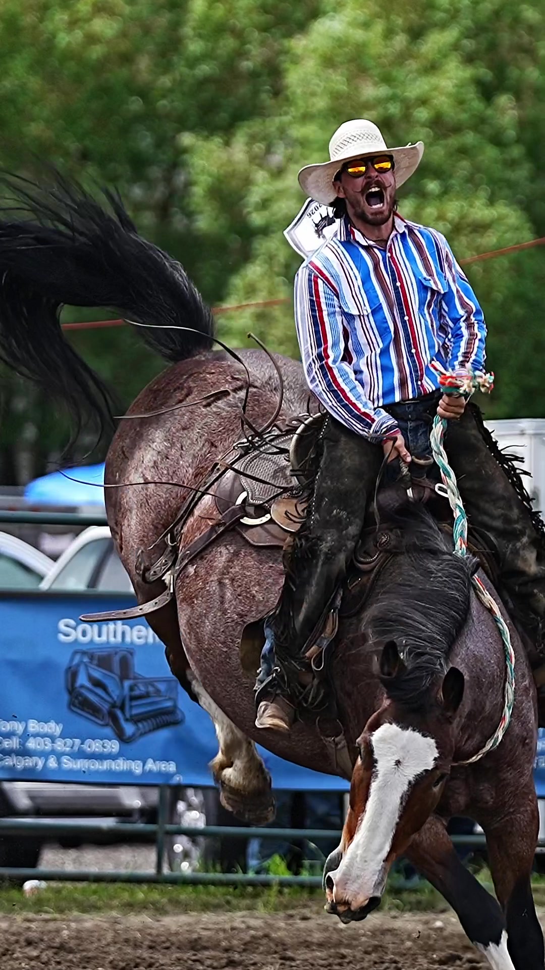 @Hanginghorses