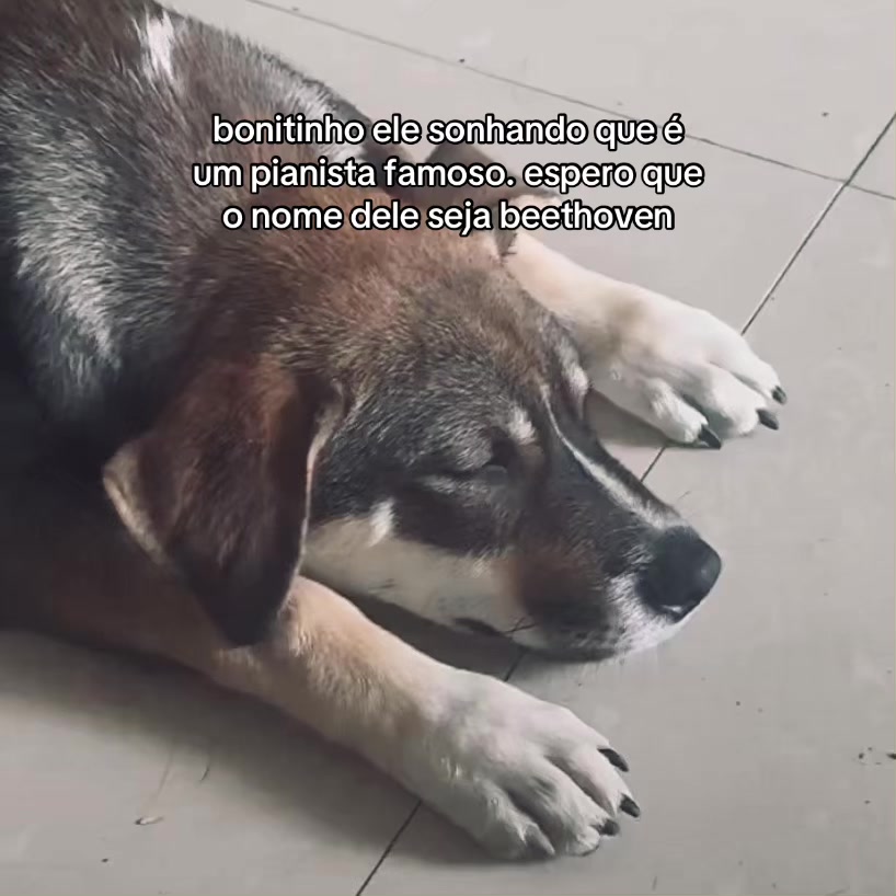 @Matheus Albuquerque
