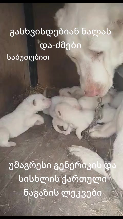 @๐ปโ๏ธโค๏ธ_nala_โค๏ธ๐ปโ๏ธ
