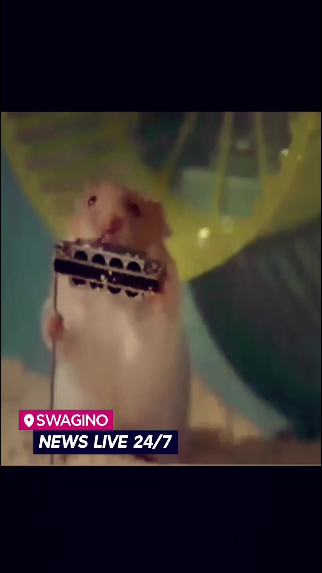 @SWAGINO