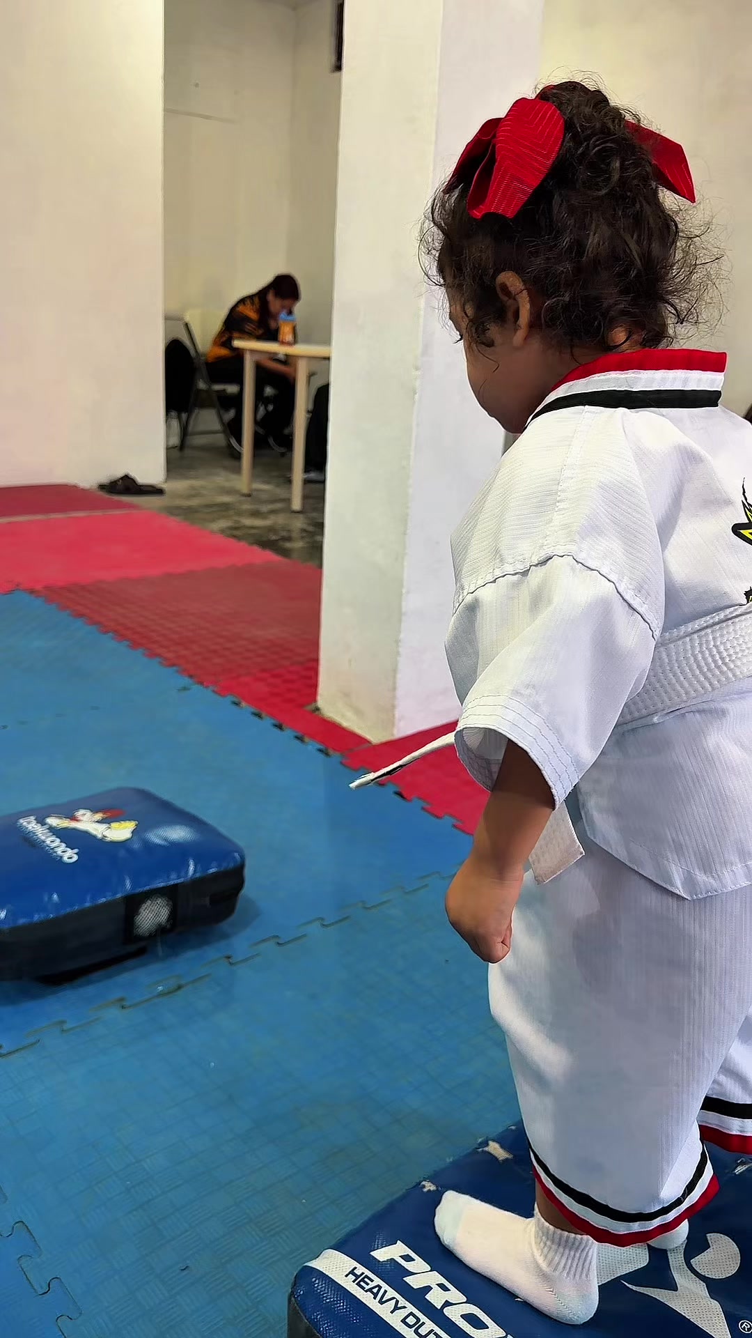 @taekwondolionsteam