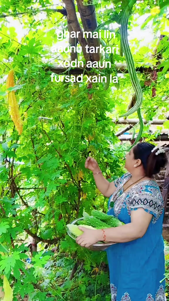 @Sabitra Timilsina111
