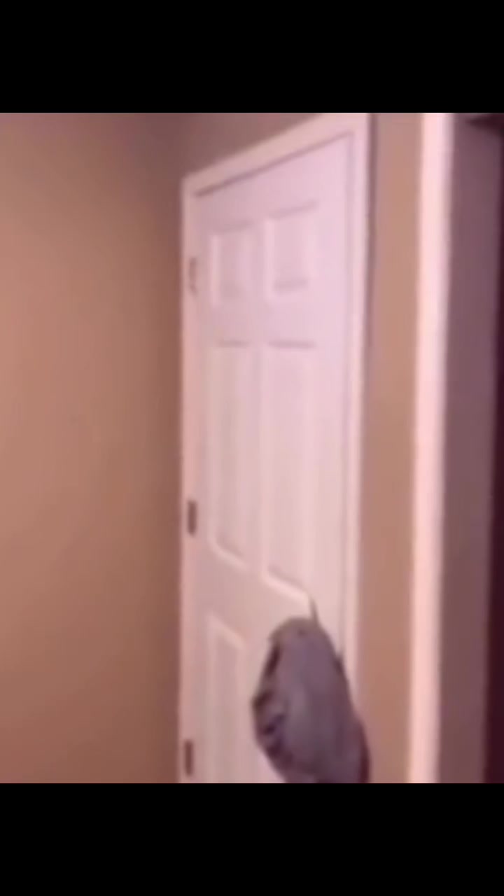 @Scar‡