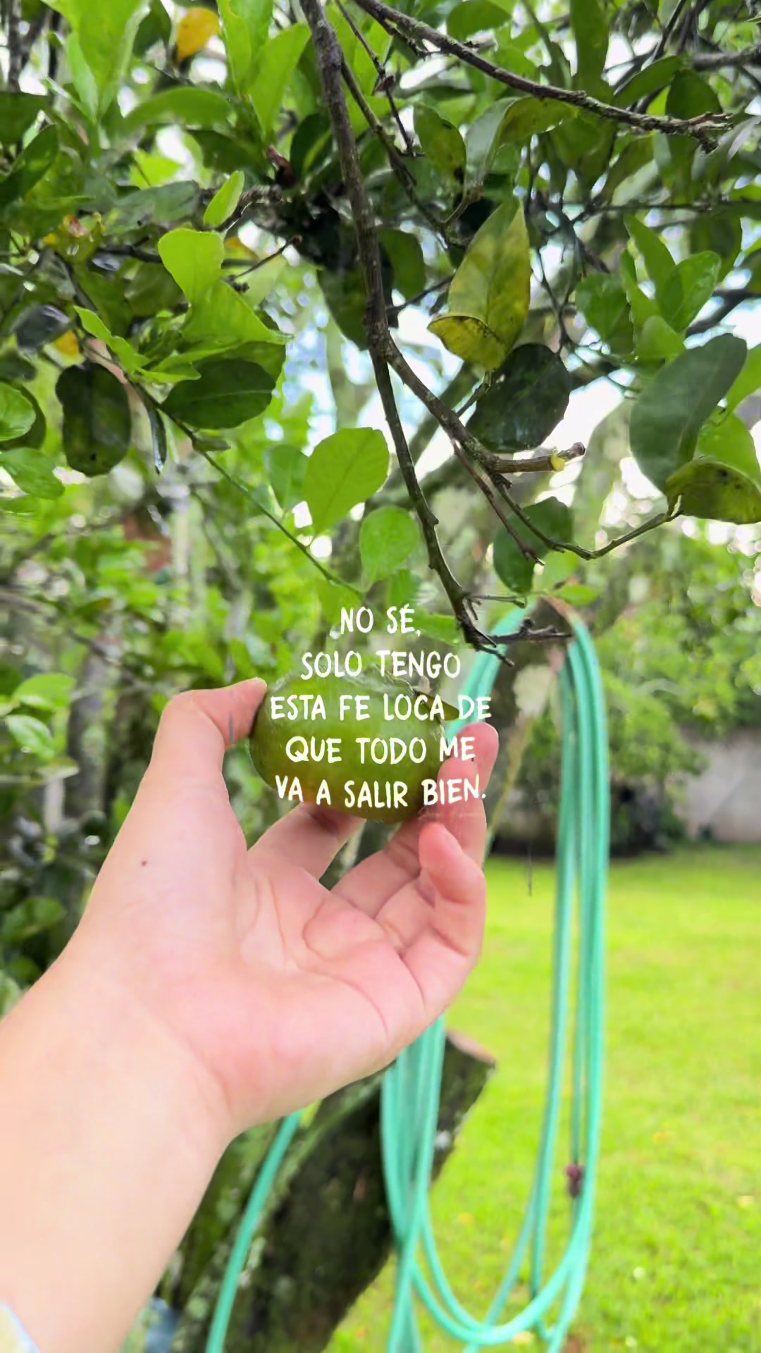 @Jis🌷
