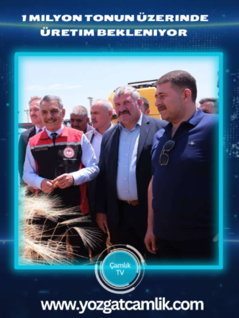 @camlikgazetesi