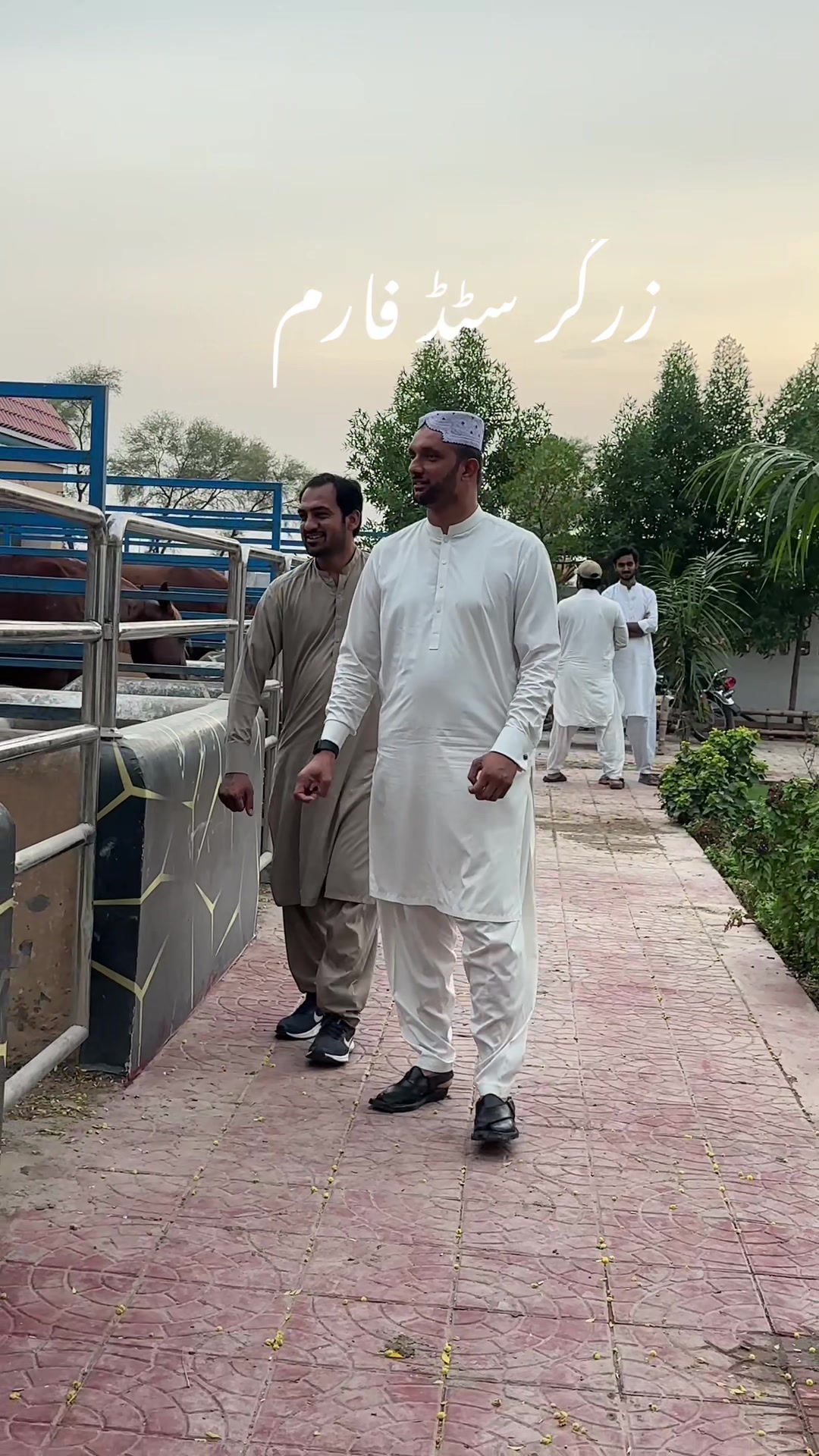 @Muhammad Safdar Ali Sultan
