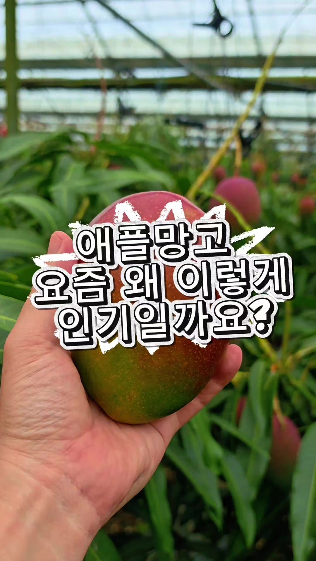 @진심먹거리