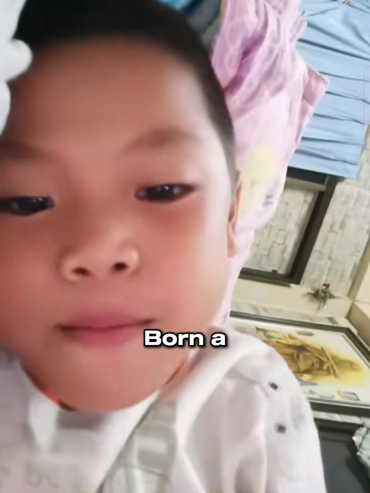 @นกฮูกแมว