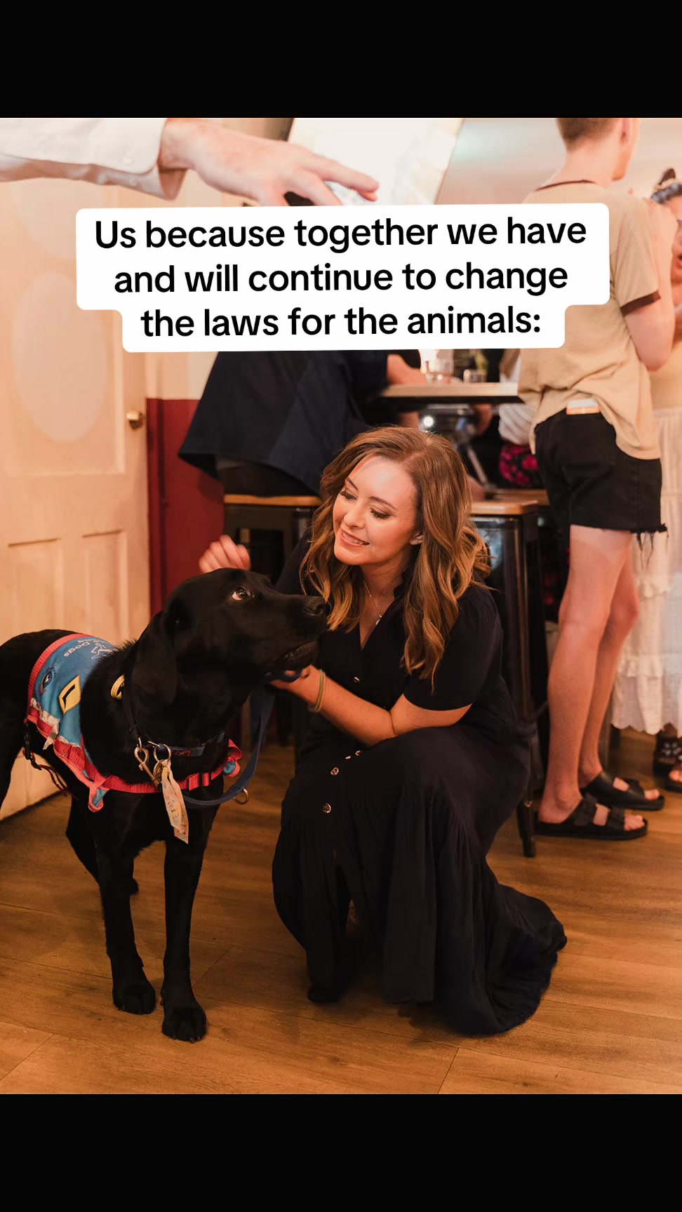 @Animal Justice Party NSW