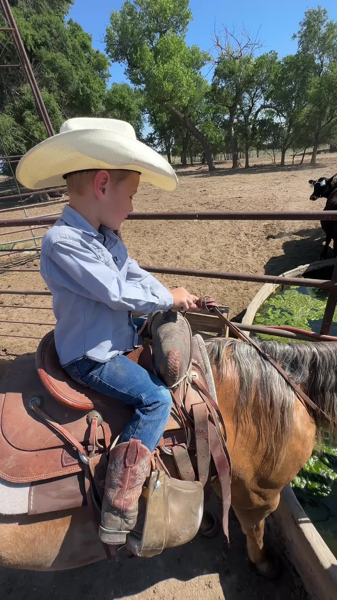 @McKinneyLandCattle