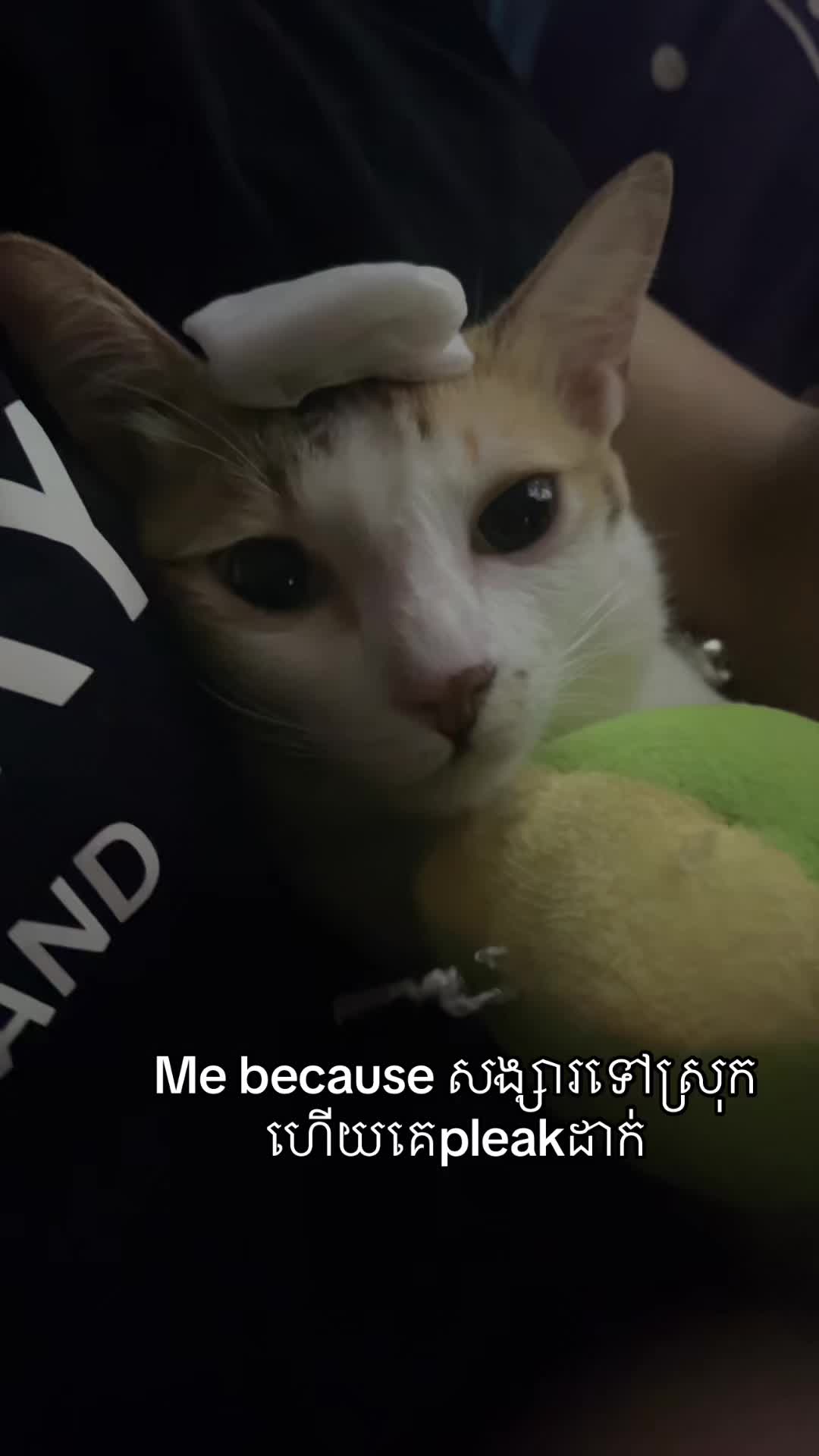 @Mew mew