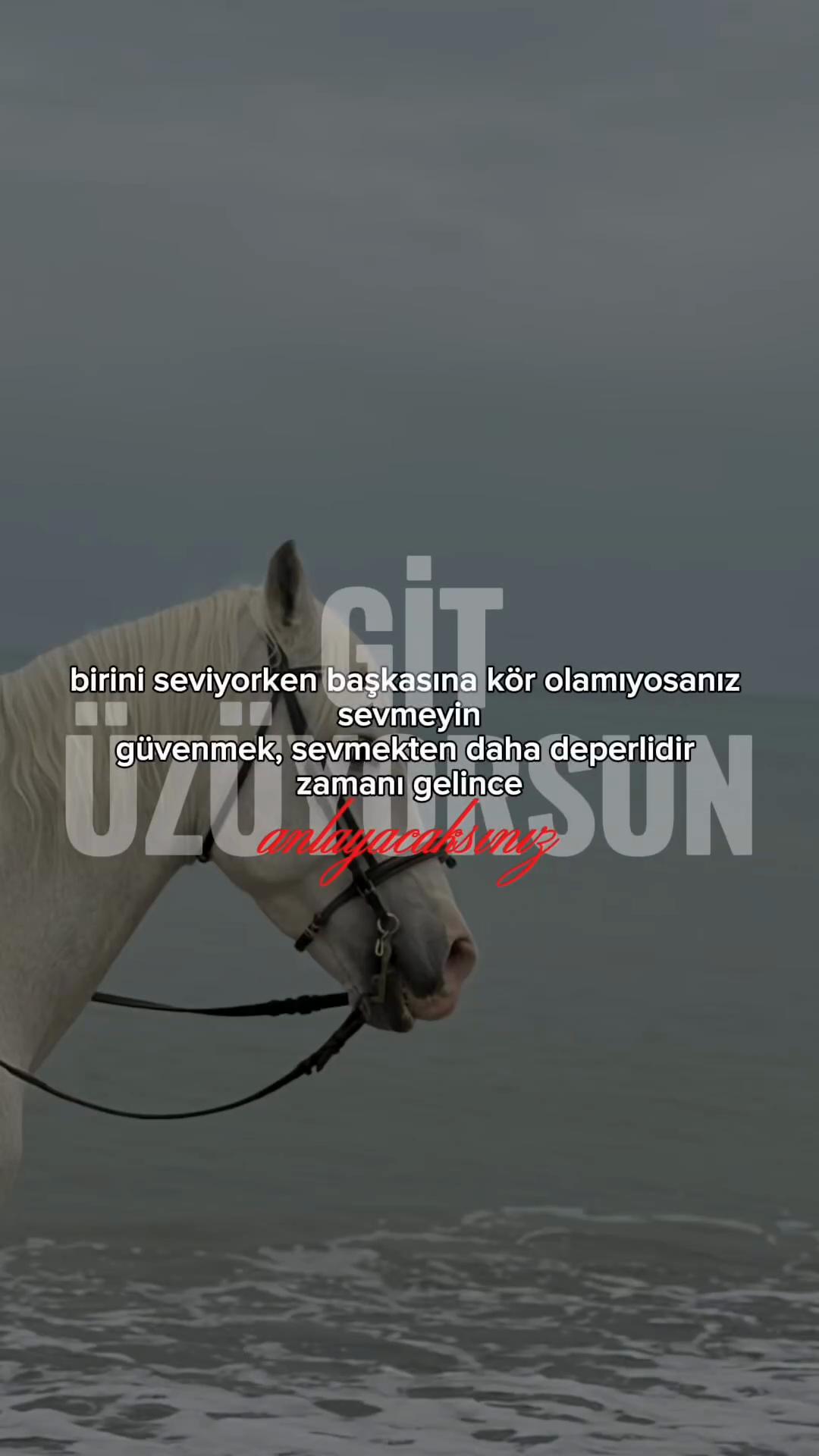 @Nazlı Yıldız