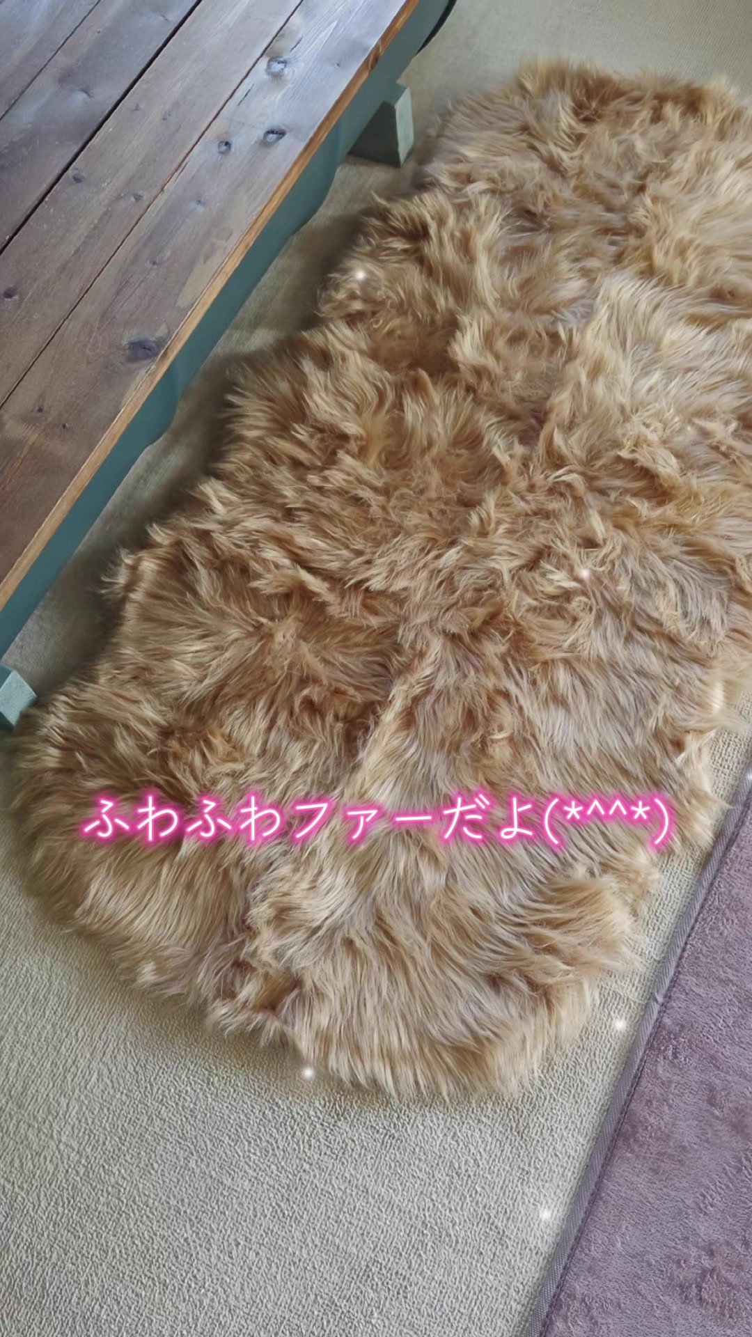 @ANIMAL♡M