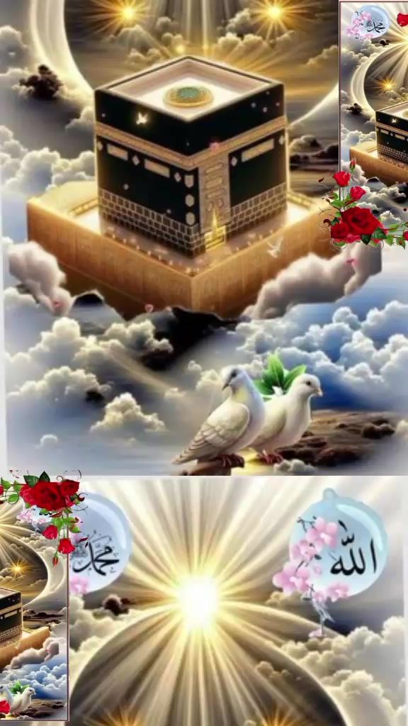 @dildarlashri2