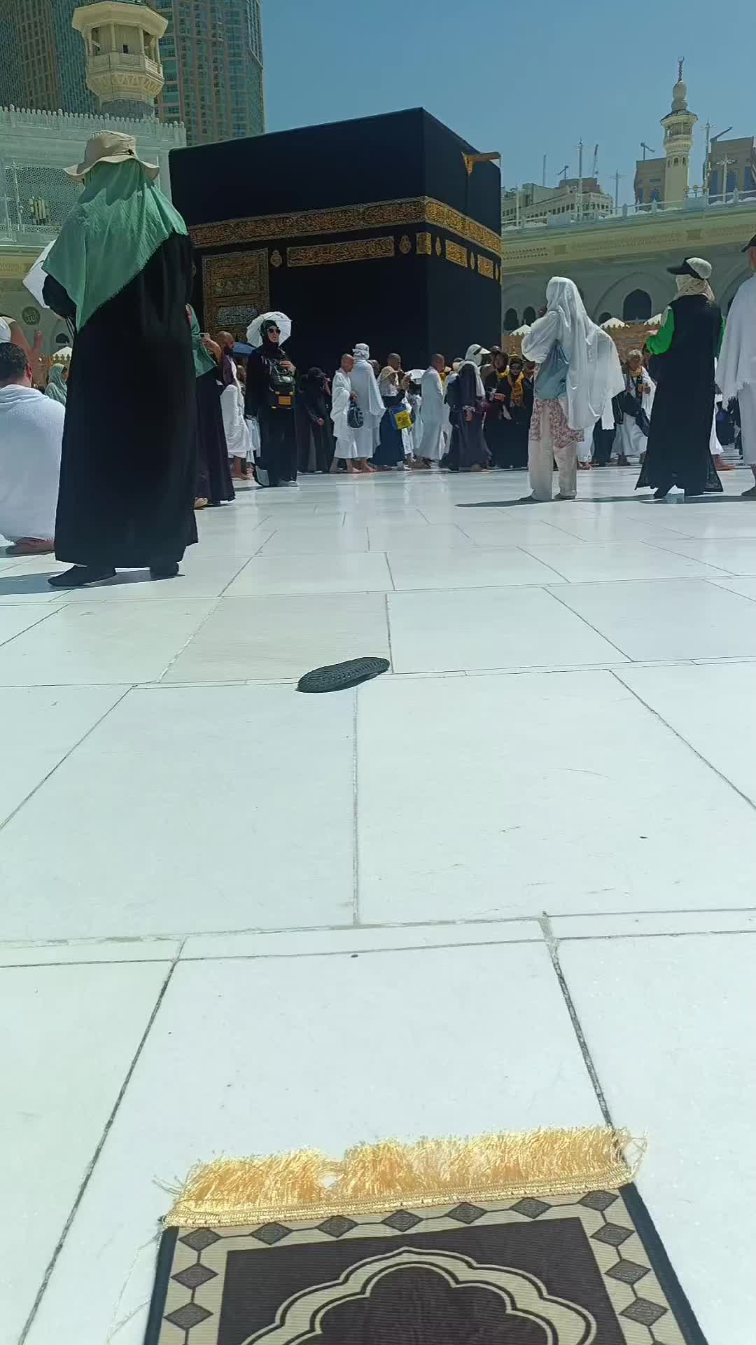 @normala jamil