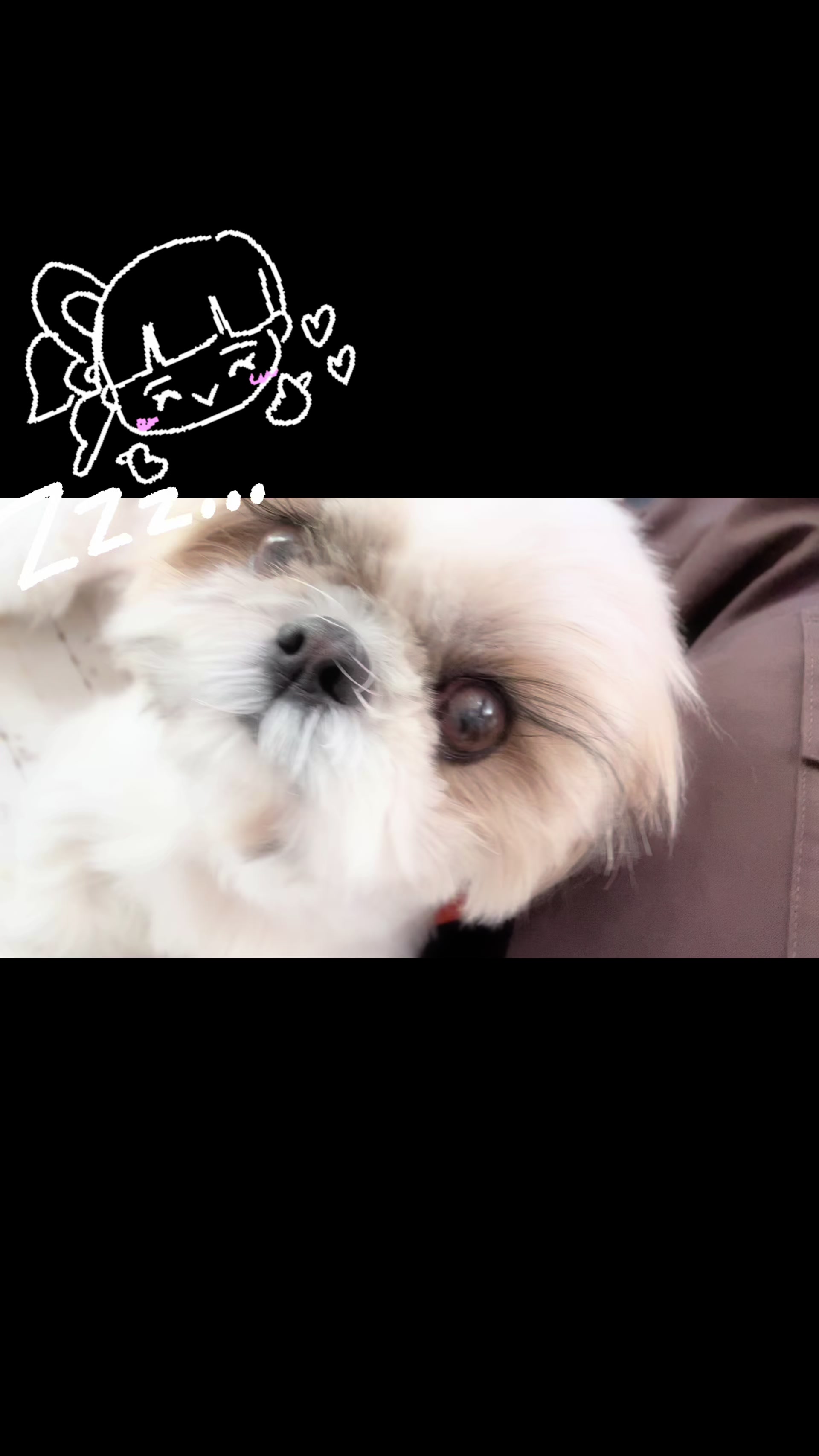 @사랑♡mogchu