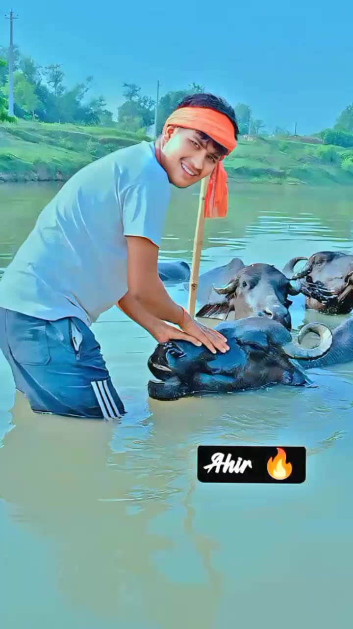 @अजय यादव