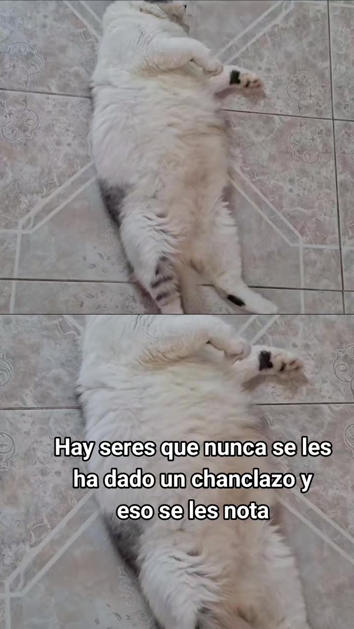 @Nel