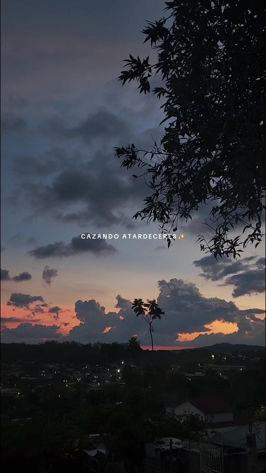 @✓ Cazando Atardecer_ 🌄☀️❤️🔥