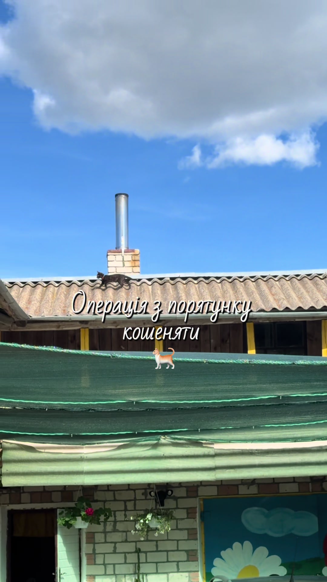 @Саша в квадраті 🧑🧒 UGC