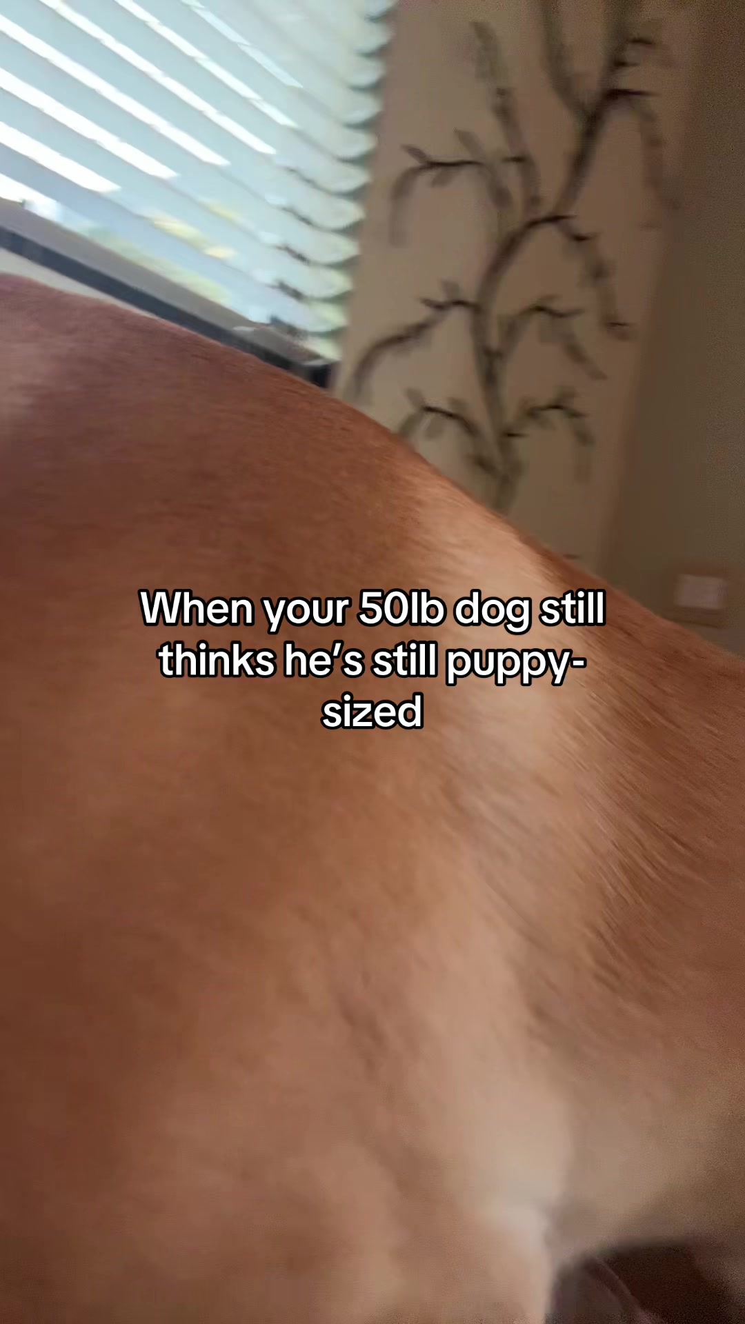 @Em
