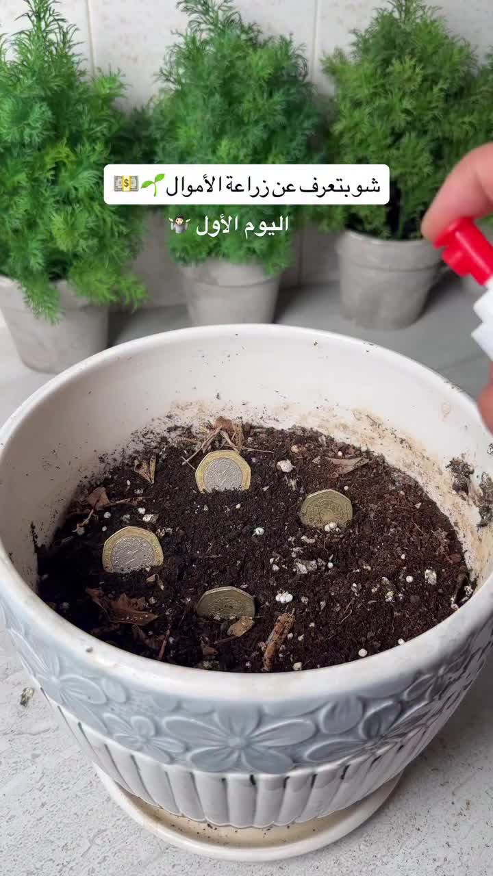 @Suleiman Naber Сулейман