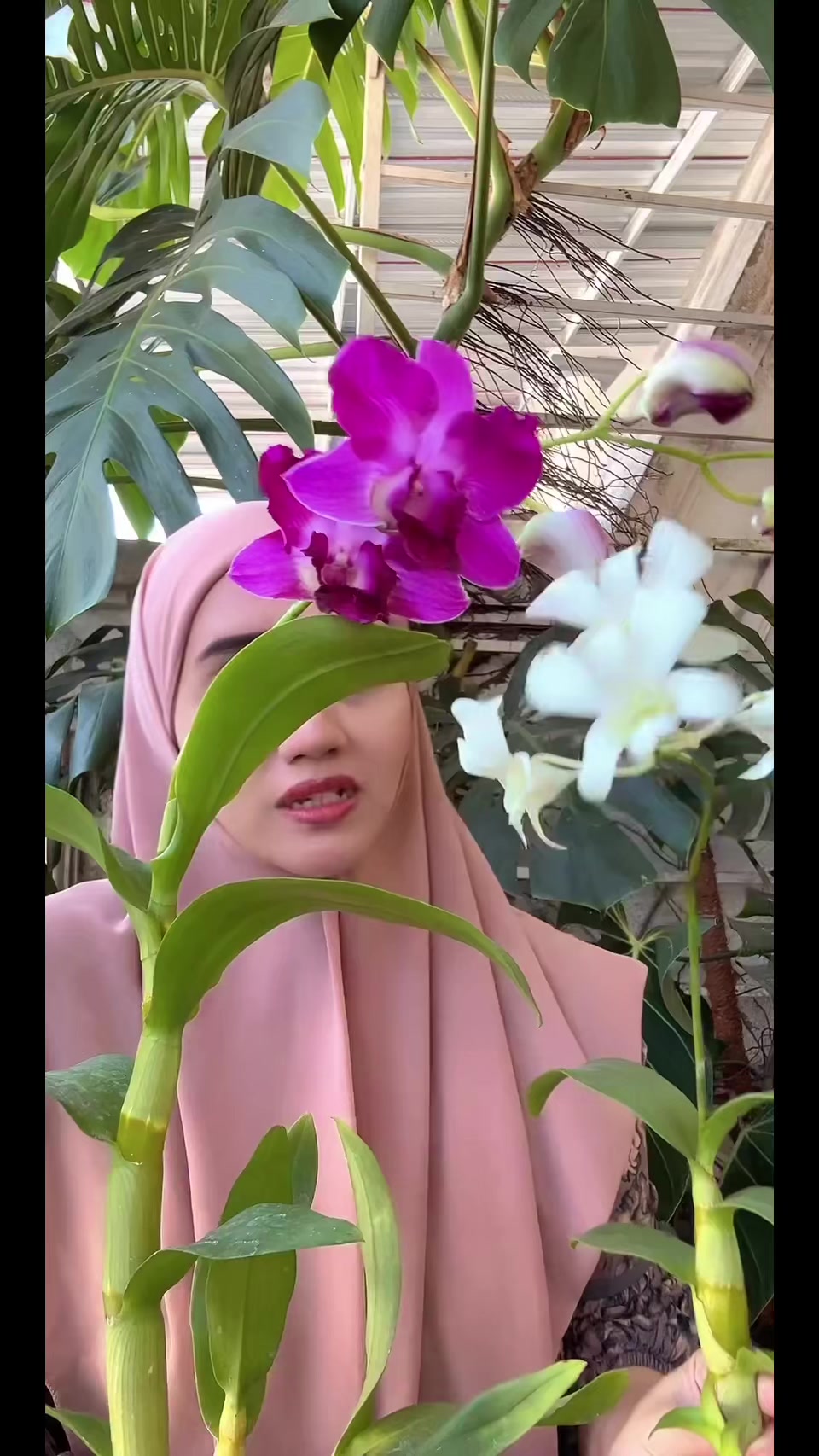 @Anggina Orchid
