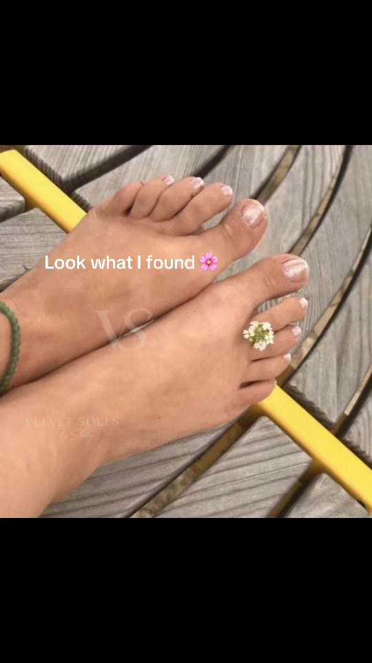 @Velvet Soles