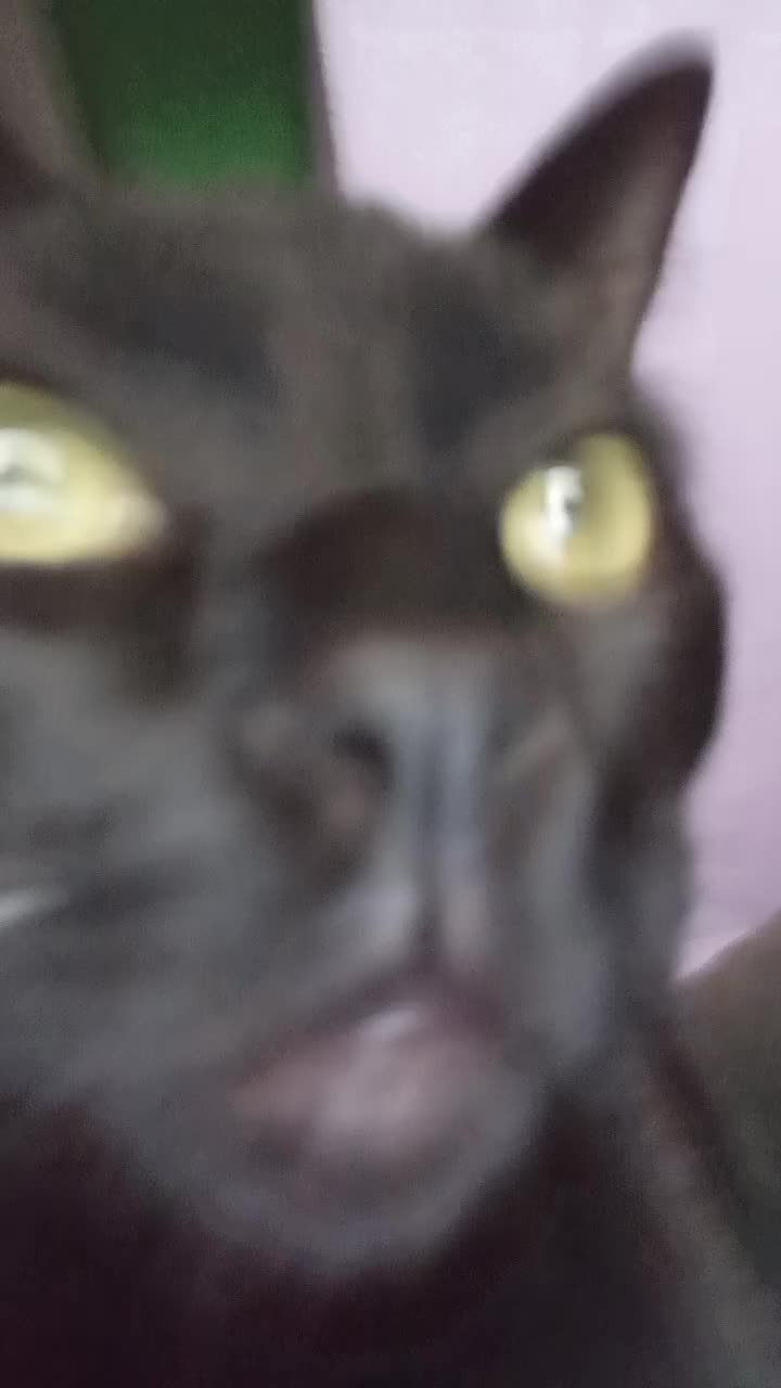 @Rosaaaaaa