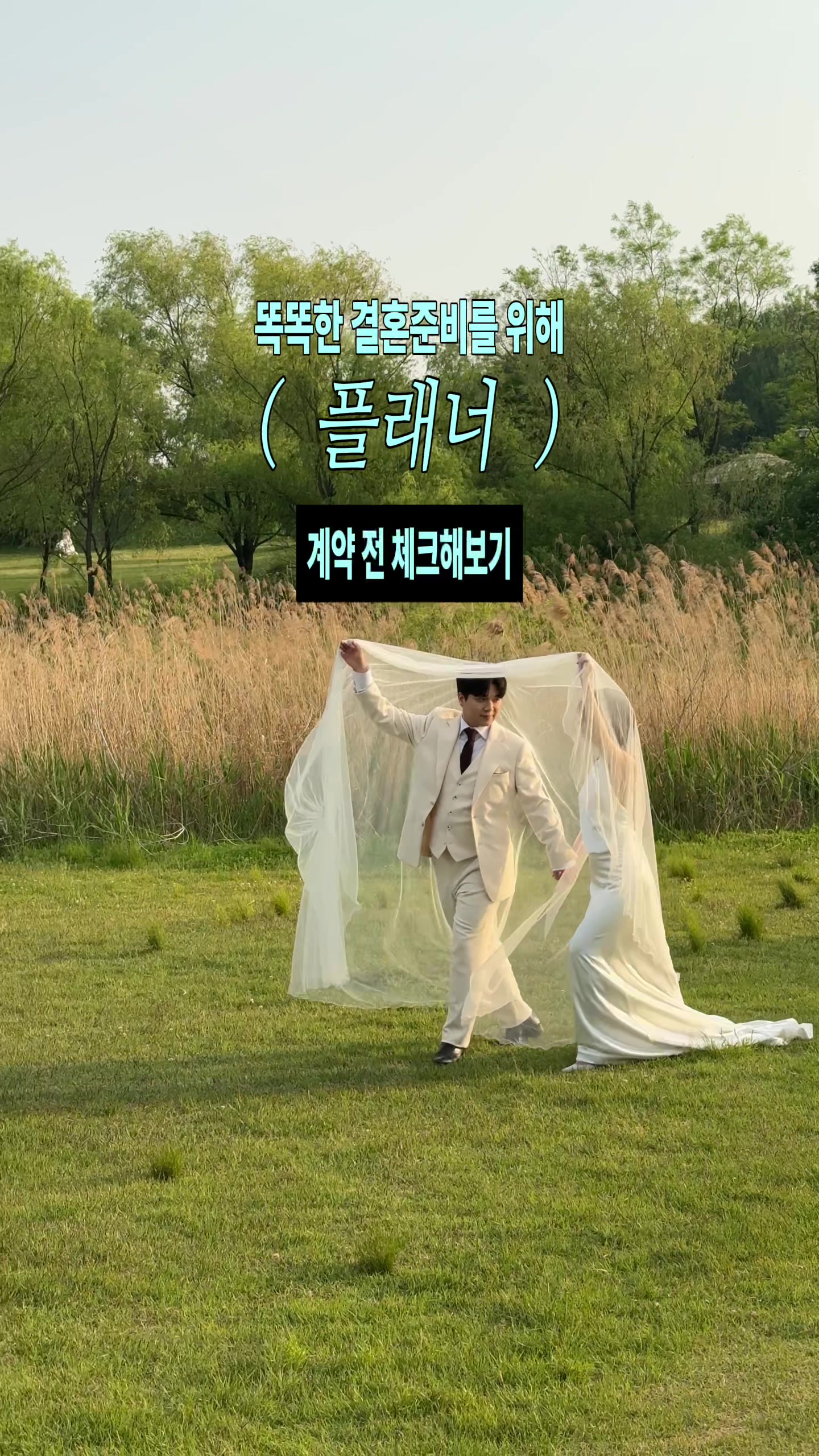 @다제로 dazero