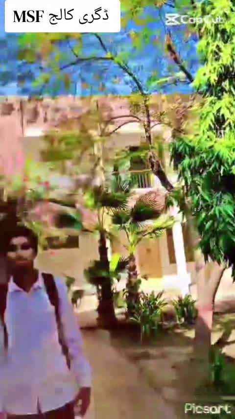 @🚩 MSF degree college vehari🚩