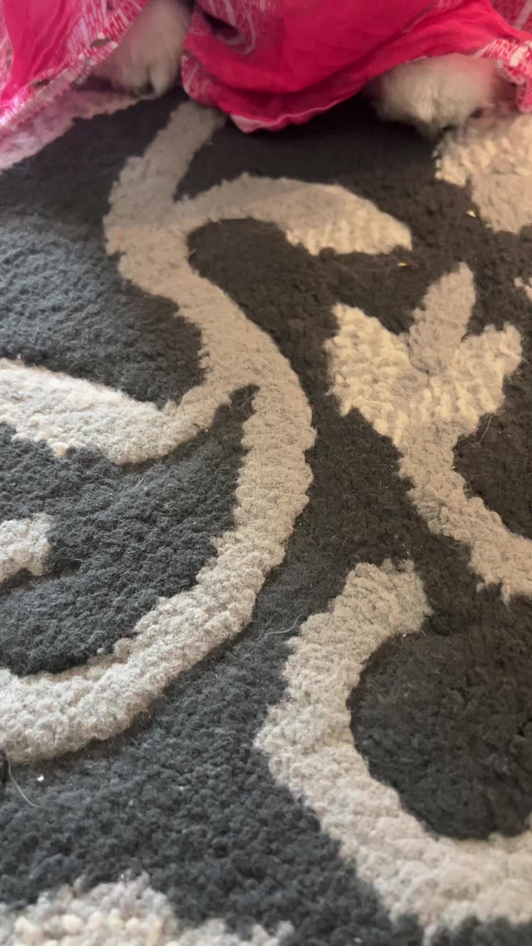 @chikuworld1