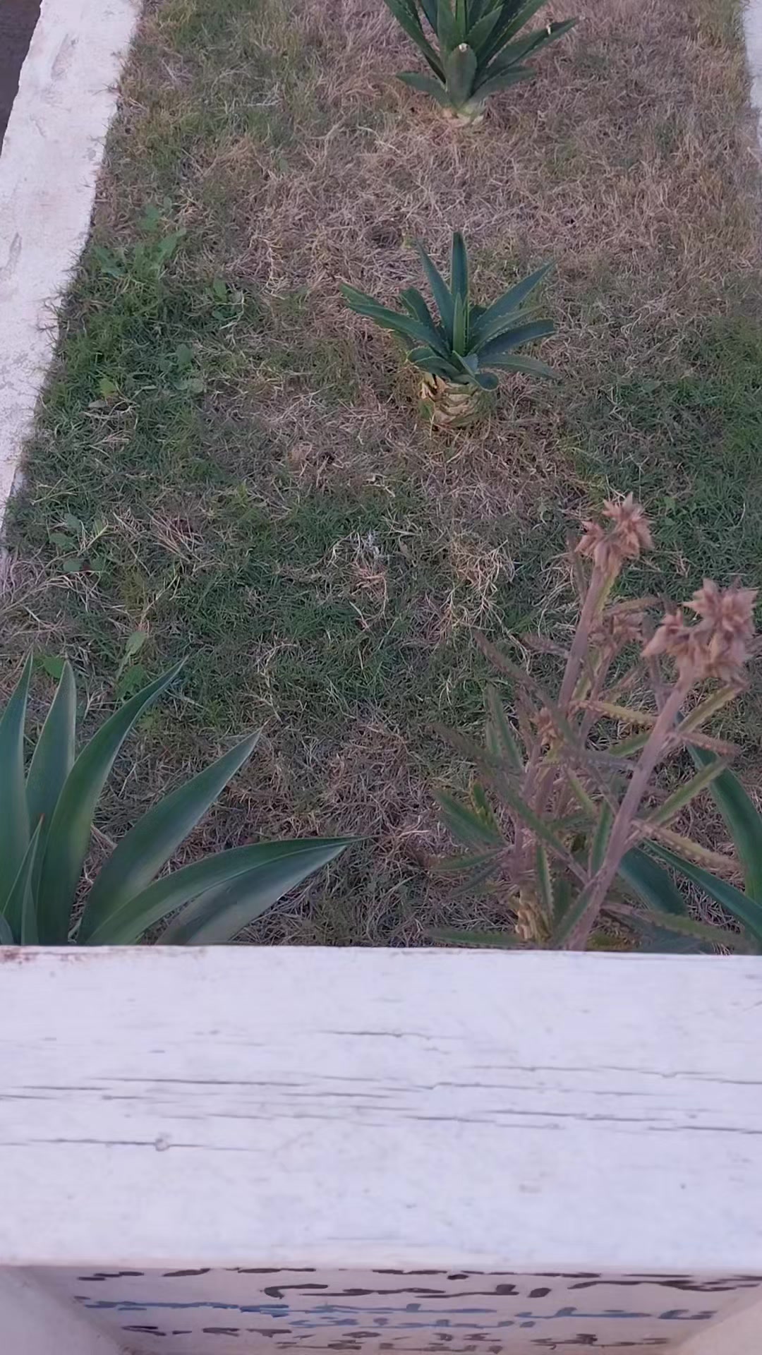 @الأميال للزيوت والفلاتر