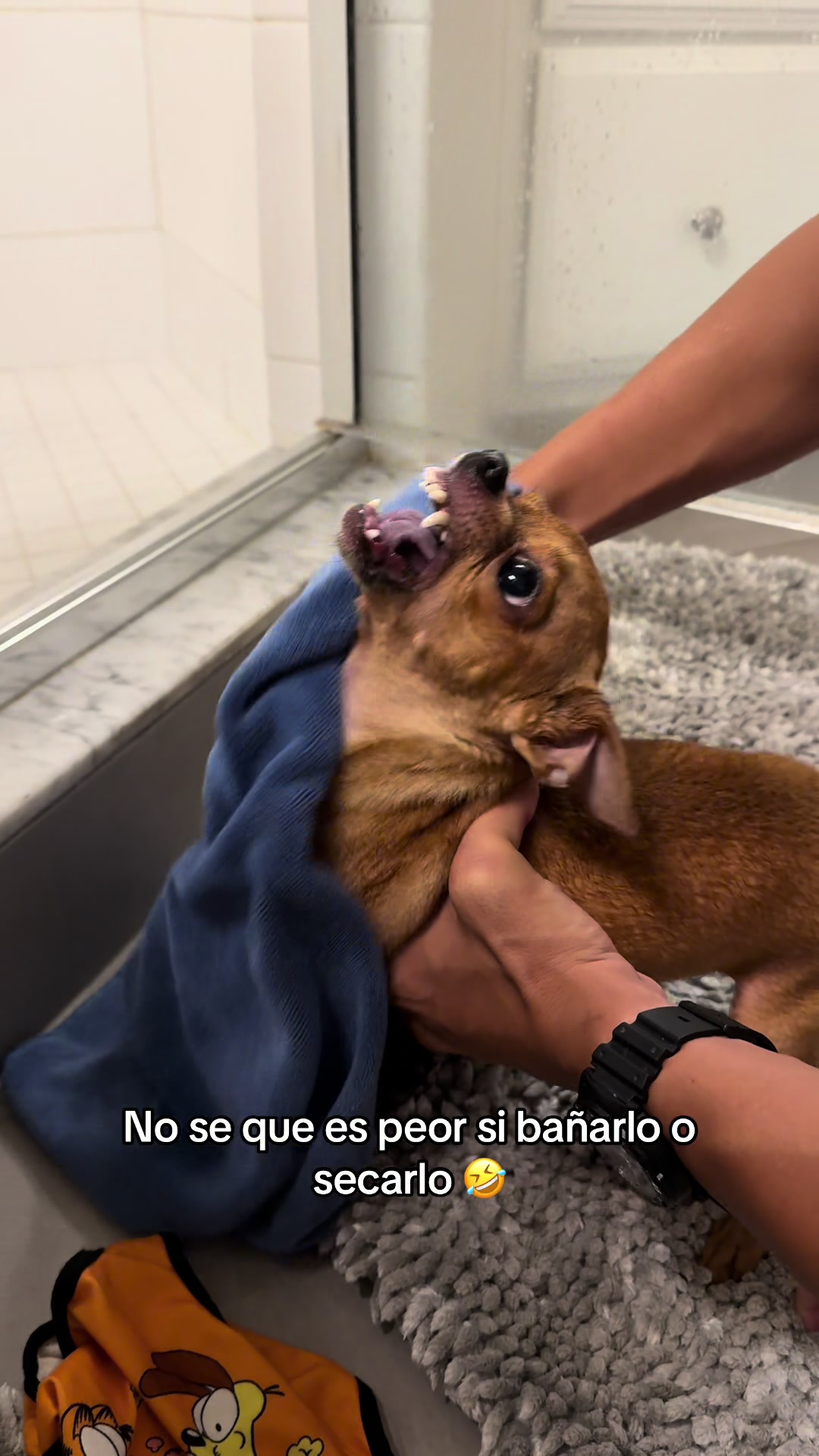 @Gloria Hernandez