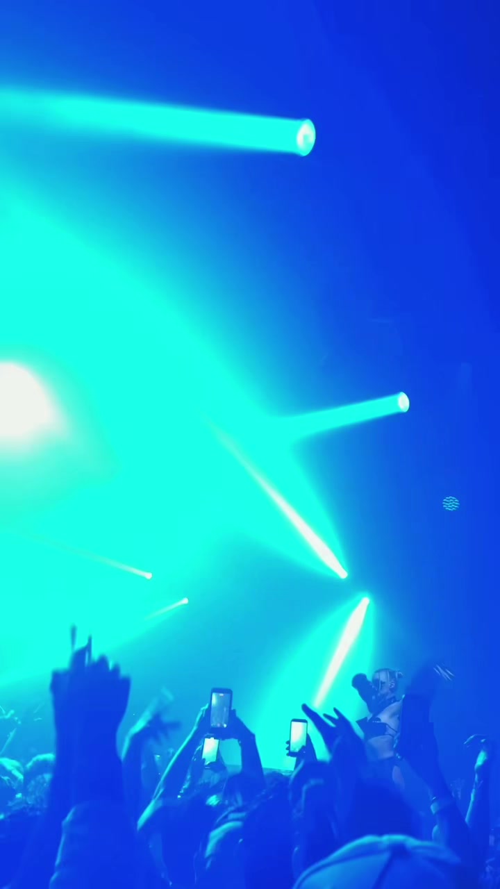 @Cat 🦋