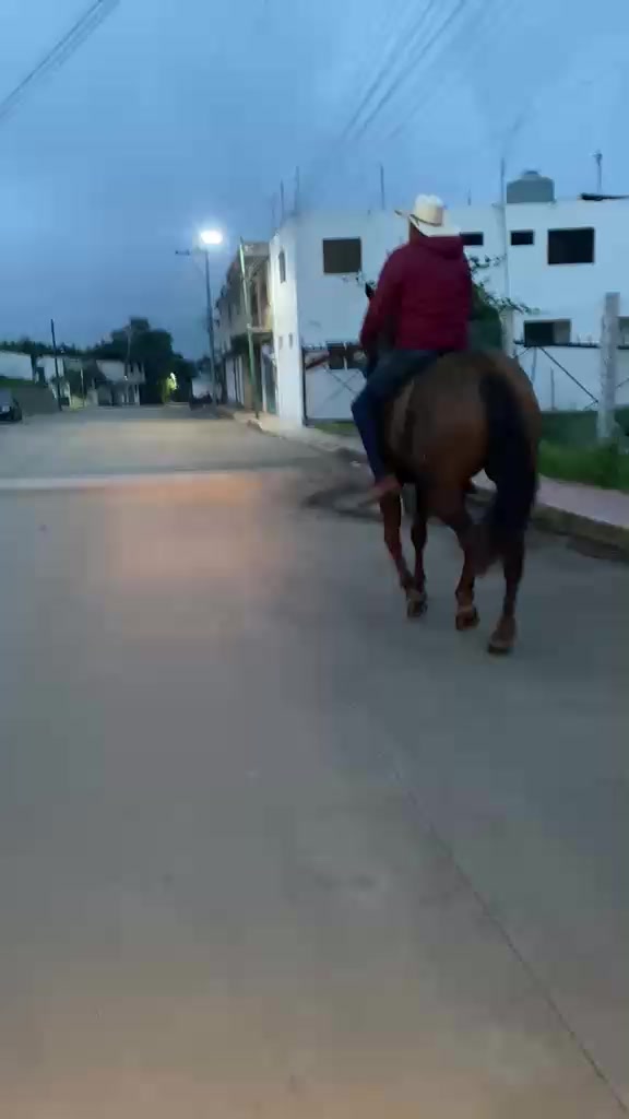 @Saulo Past&eacute;n Jr