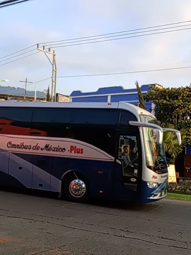 @hernánde'z