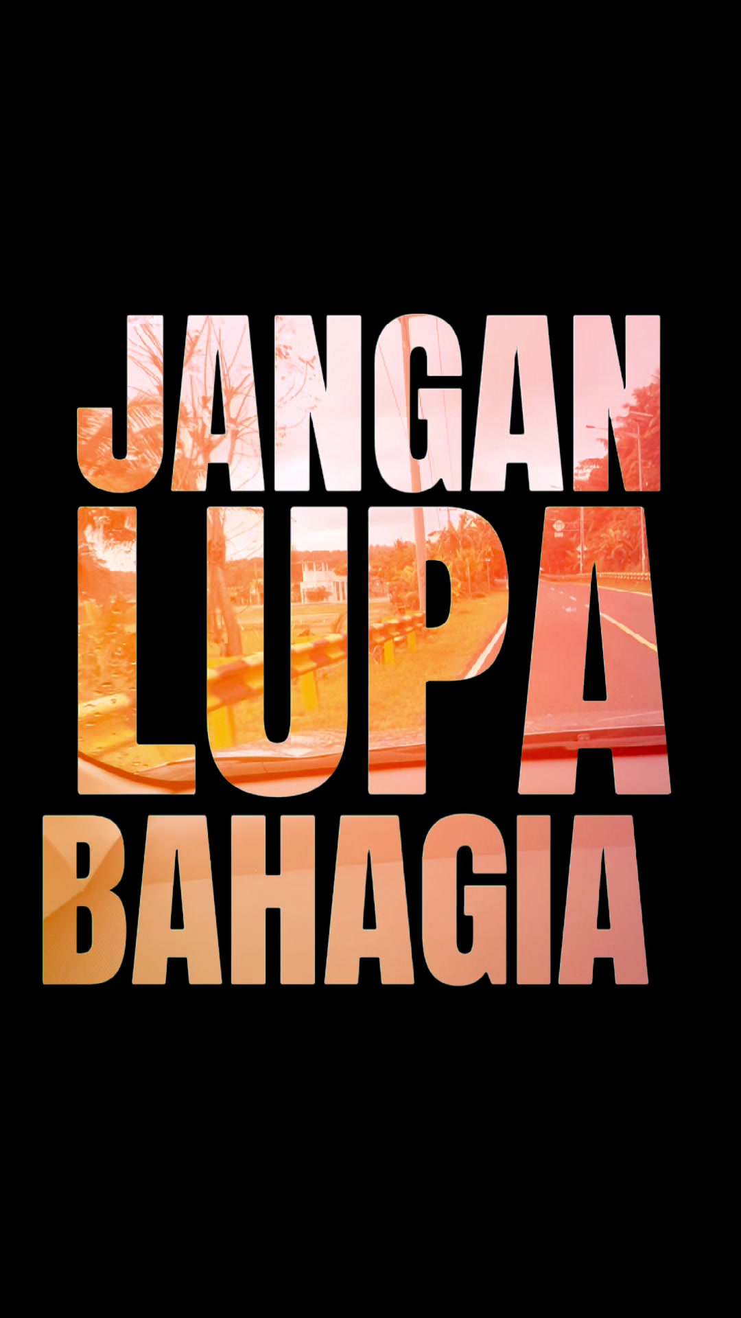 @koleksi.tanaman.hias