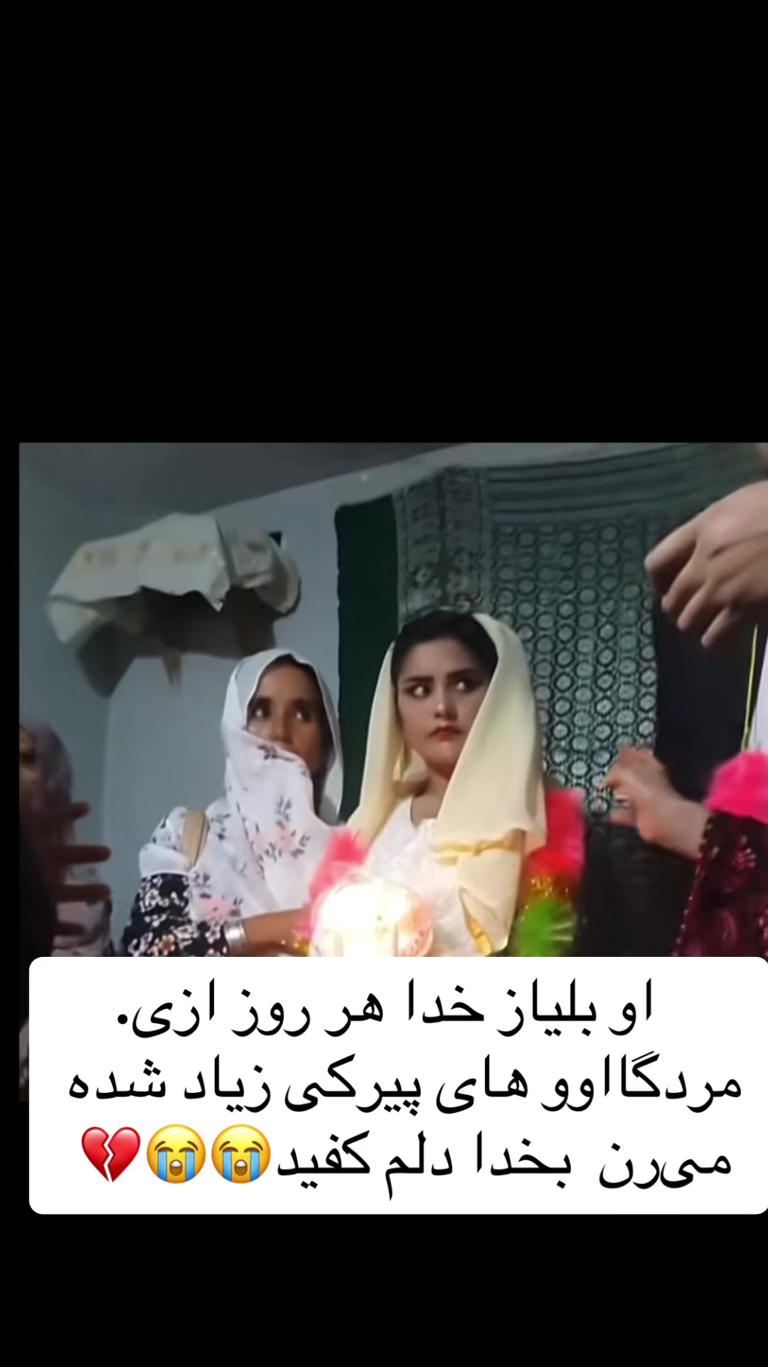 @🎀«پیشوگک»🎀