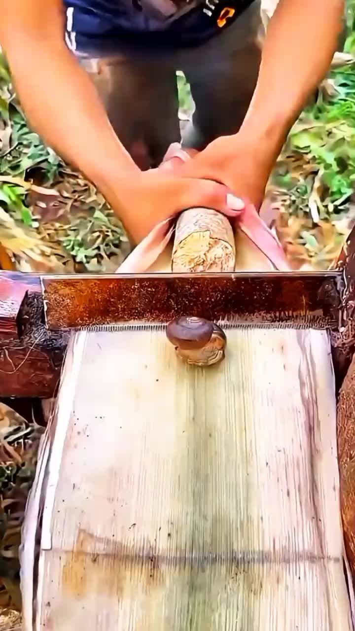 @◉‿◉