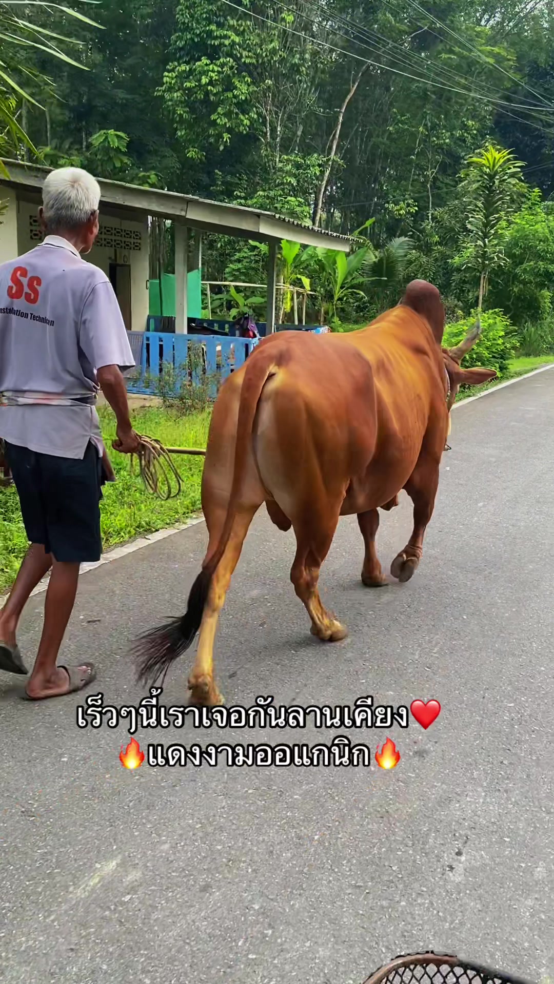 @ทำดีเข้าเเลก เพื่อกระเเทกหีเธอ