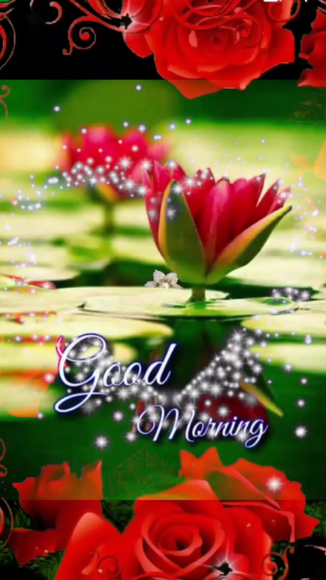 @Chandru🌺