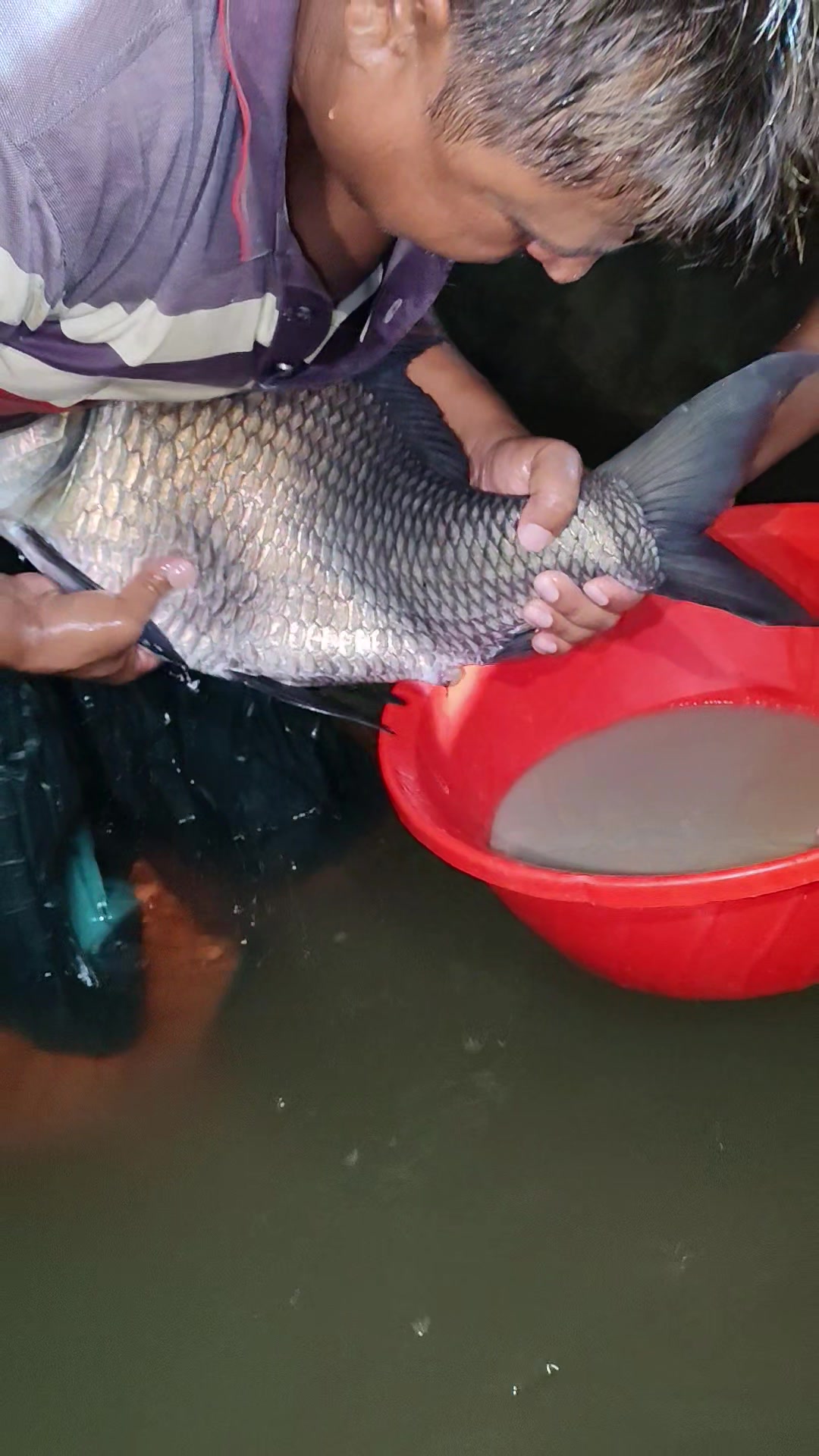 @Fish Lovers Bangladesh