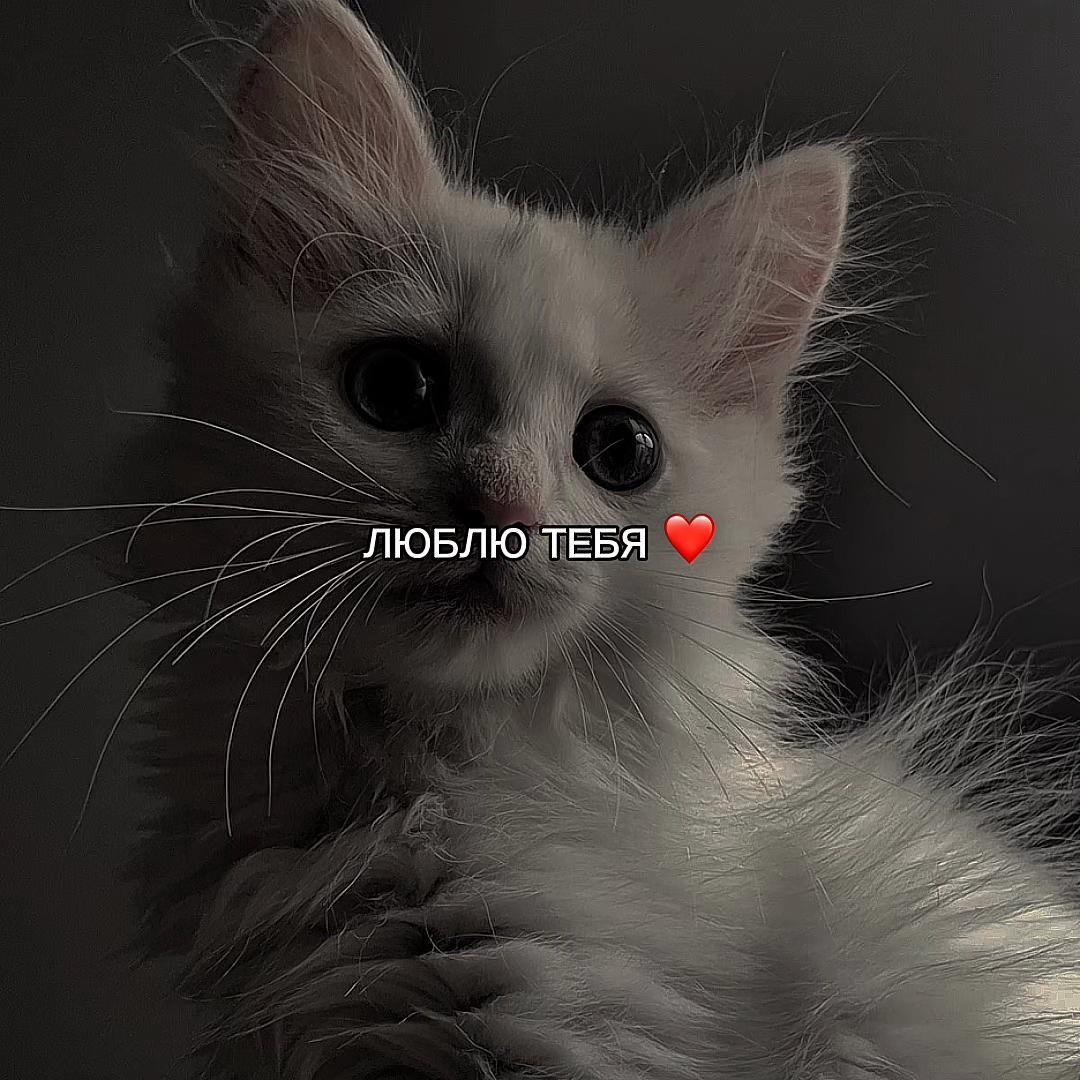 @ХХИКА