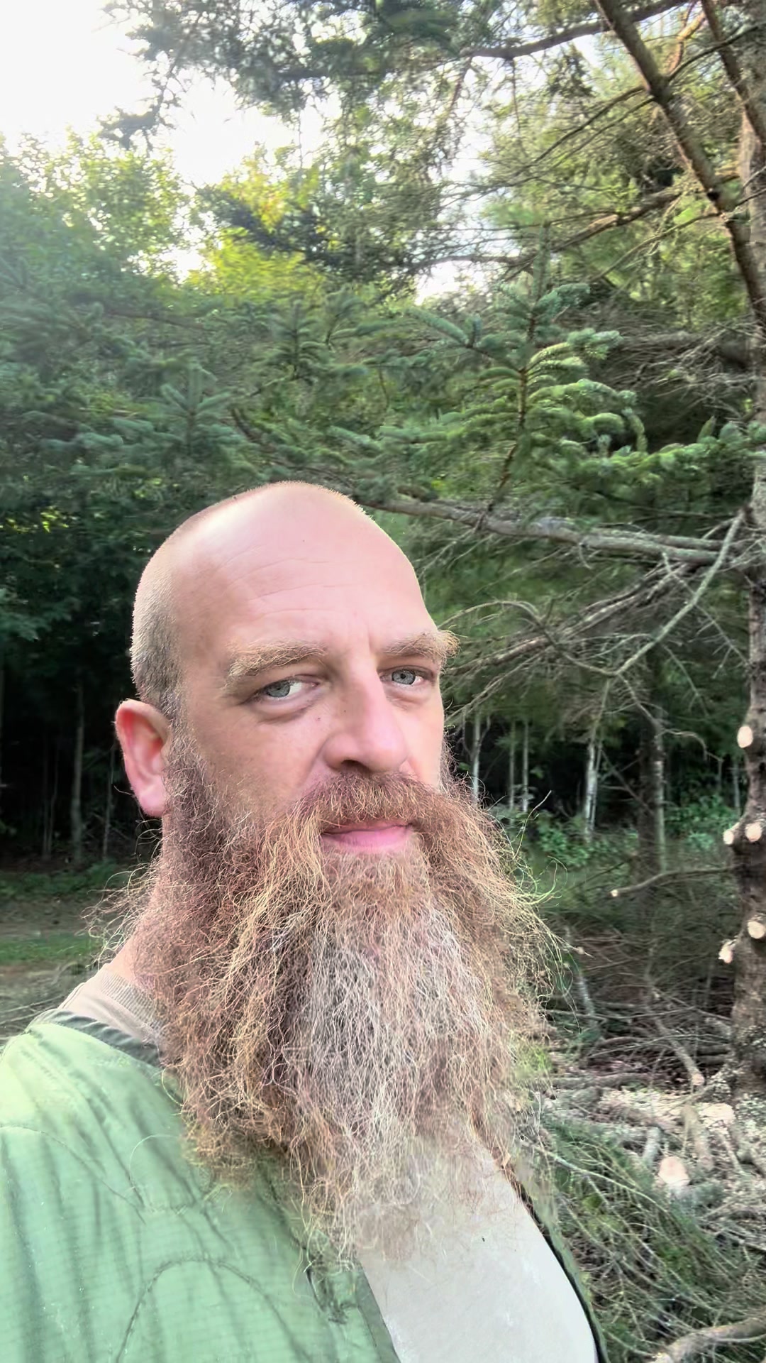 @Bearded bee man