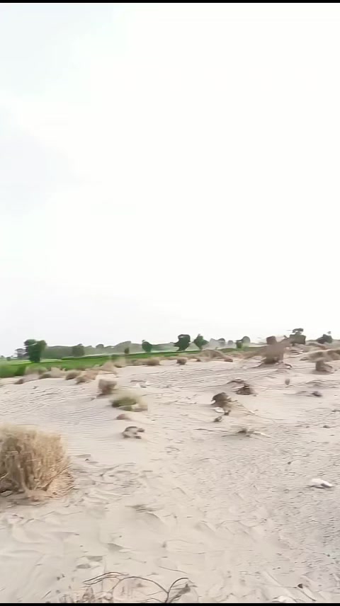 @علی مہر 🏴