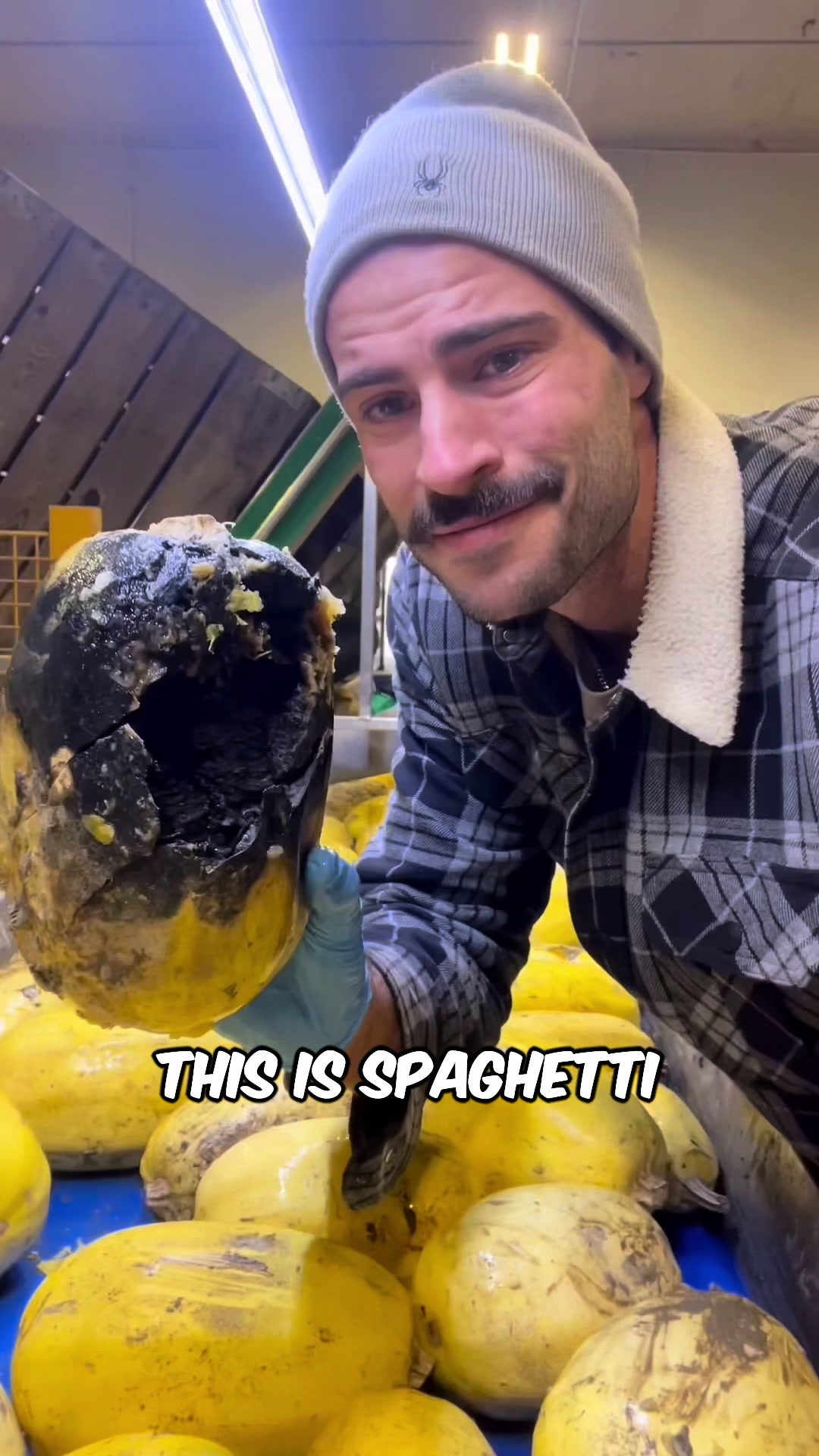 @Potato Ty
